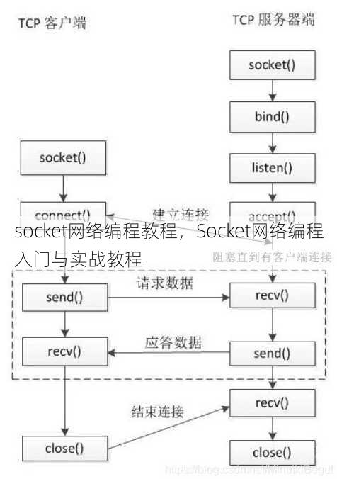 socket网络编程教程