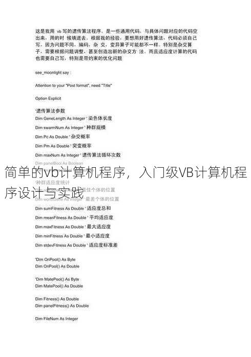 简单的vb计算机程序