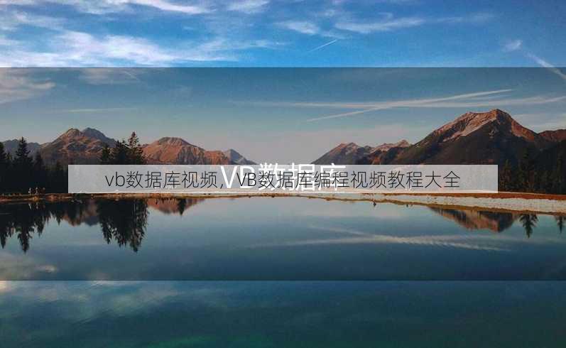 vb数据库视频