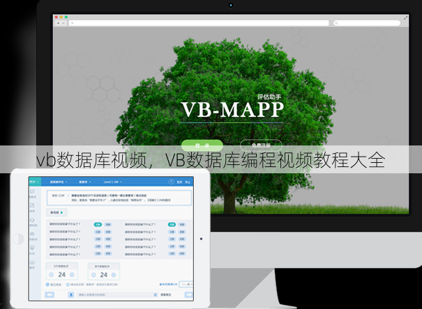 vb数据库视频
