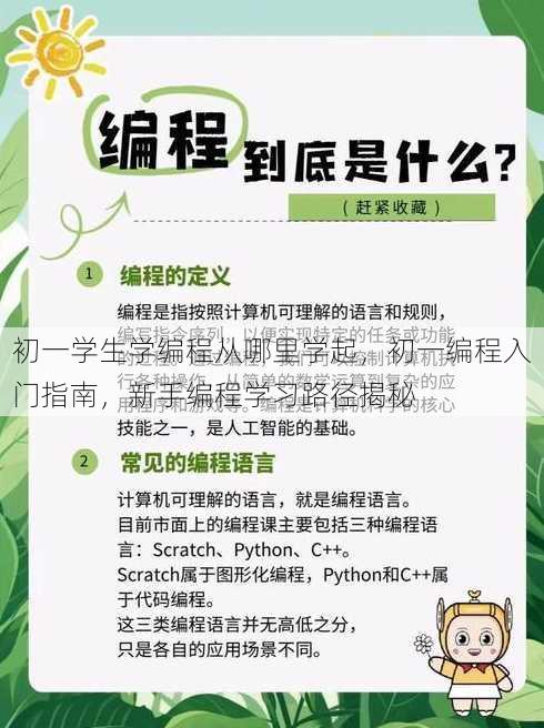 初一学生学编程从哪里学起
