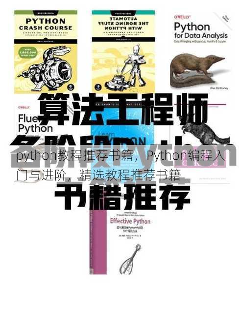 python教程推荐书籍