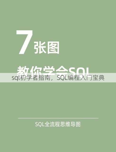 sql初学者指南