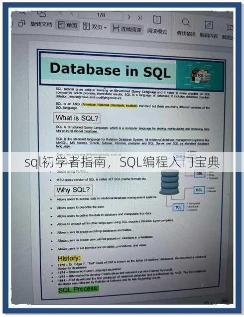 sql初学者指南