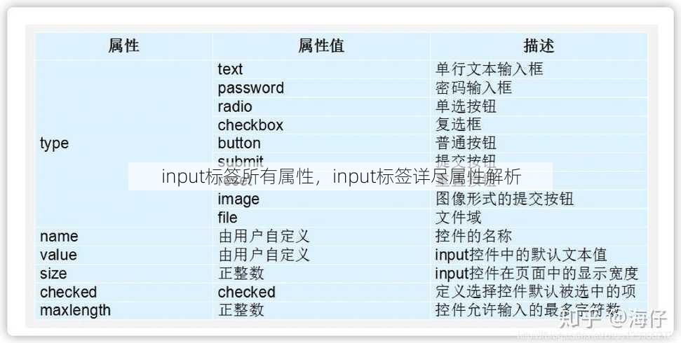 input标签所有属性