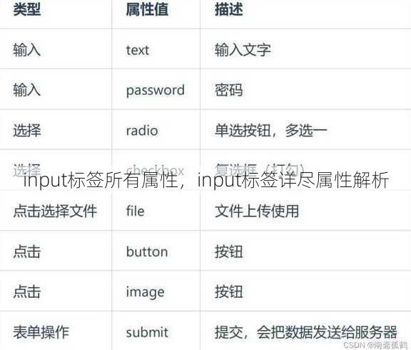 input标签所有属性