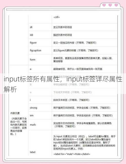 input标签所有属性