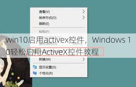 win10启用activex控件