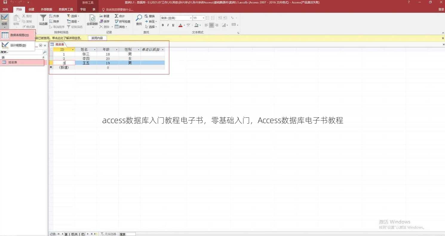 access数据库入门教程电子书