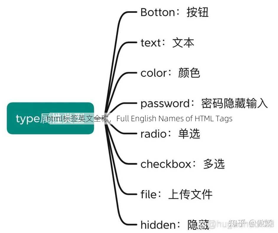html标签英文全称