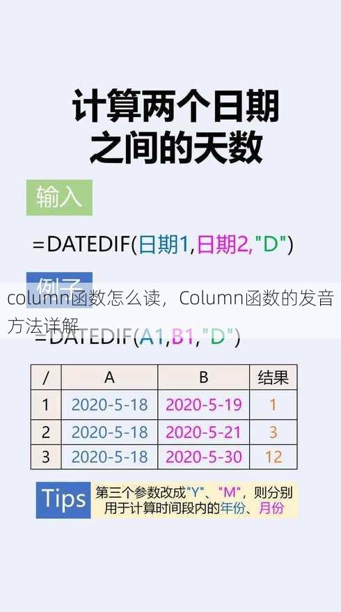 column函数怎么读