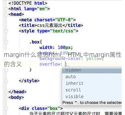 margin什么意思html