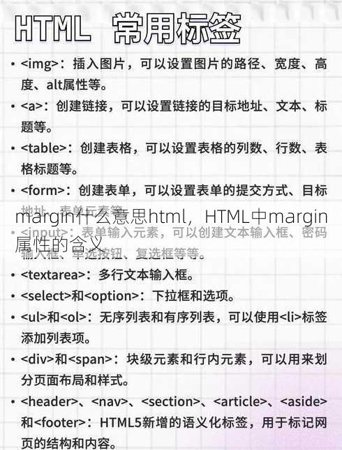 margin什么意思html