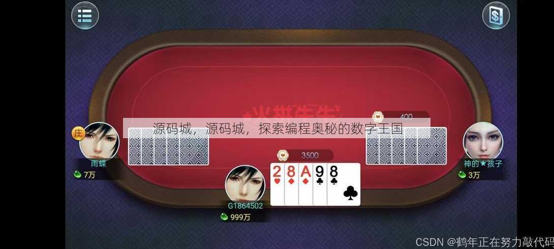 源码城