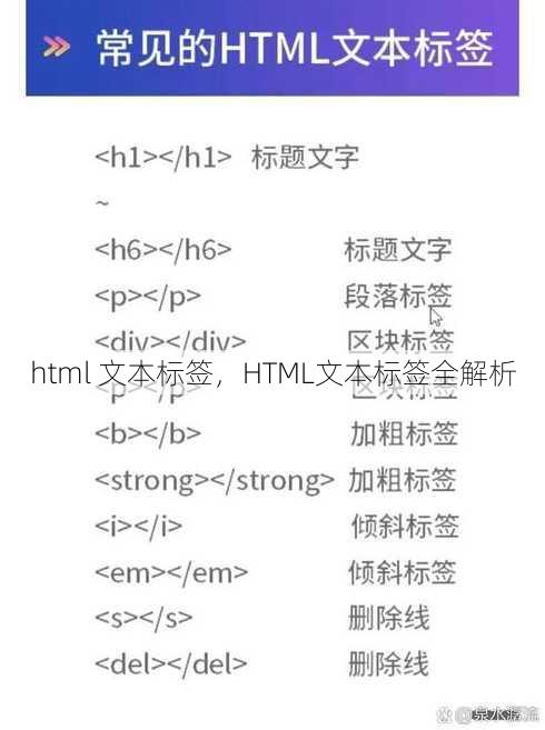 html 文本标签