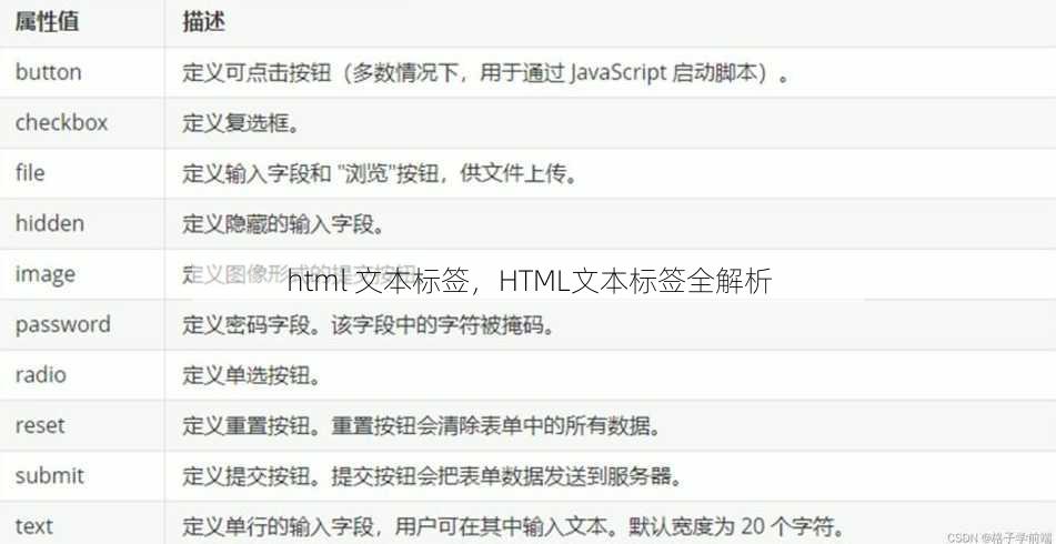 html 文本标签