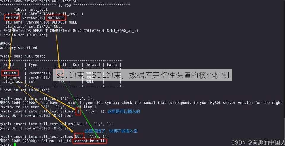 sql 约束