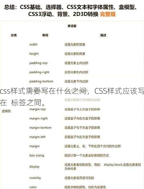 css样式需要写在什么之间