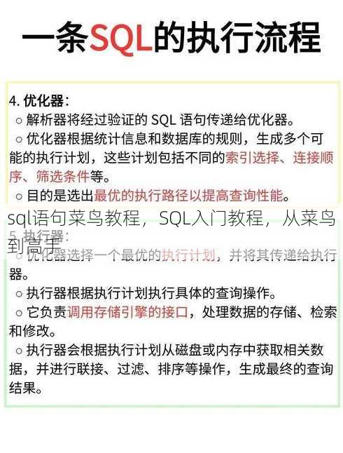 sql语句菜鸟教程
