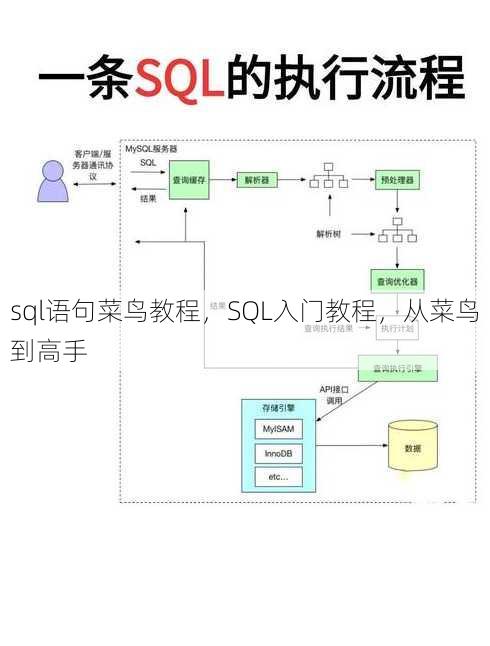 sql语句菜鸟教程