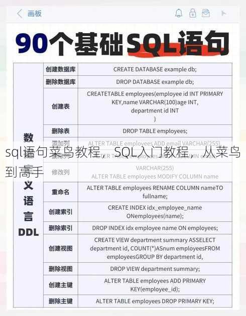 sql语句菜鸟教程