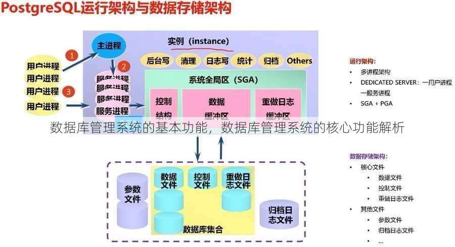 数据库管理系统的基本功能
