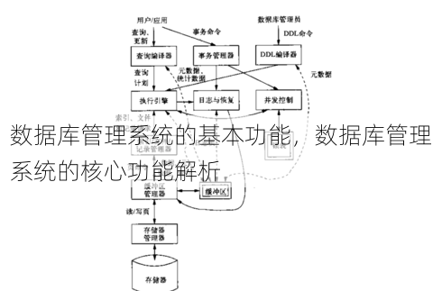 数据库管理系统的基本功能