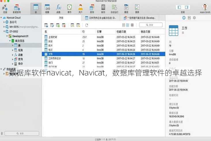 数据库软件navicat