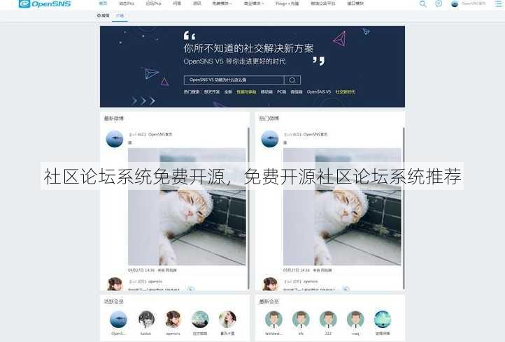 社区论坛系统免费开源