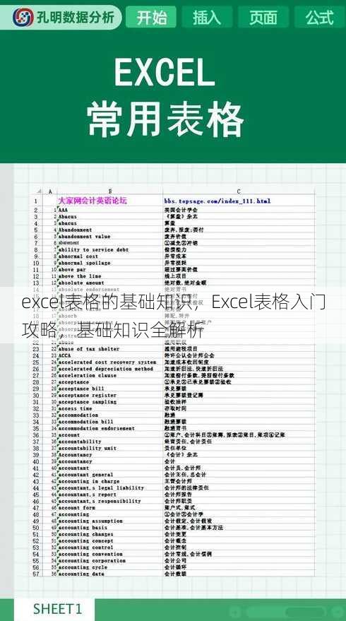 excel表格的基础知识