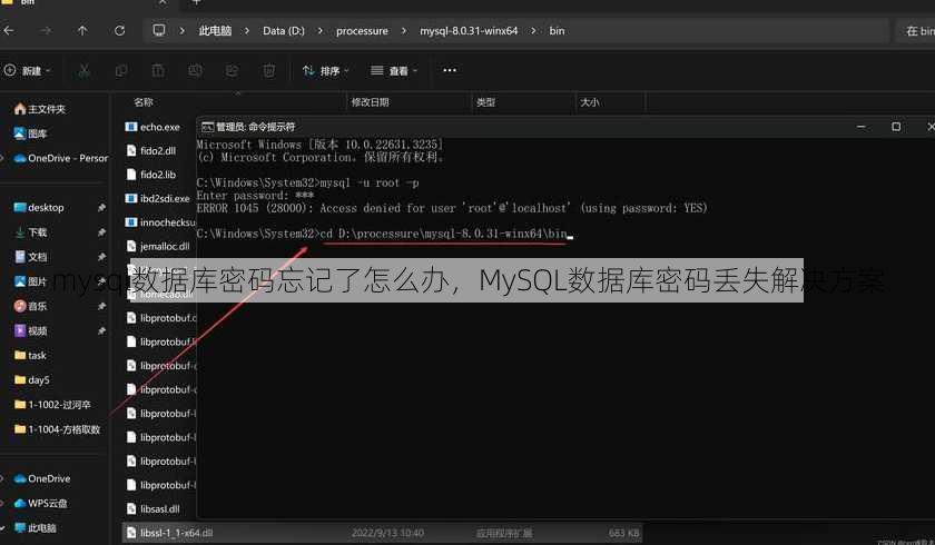 mysql数据库密码忘记了怎么办