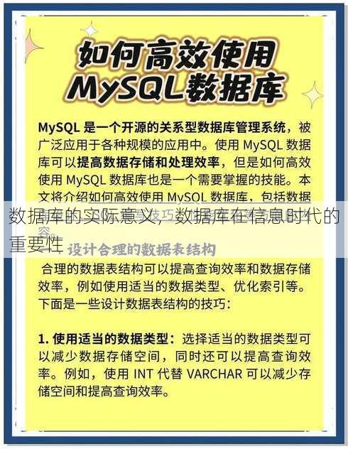 数据库的实际意义