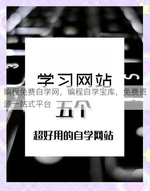 编程免费自学网