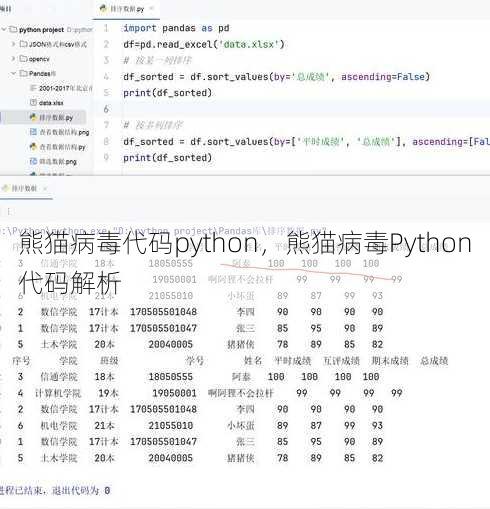 熊猫病毒代码python