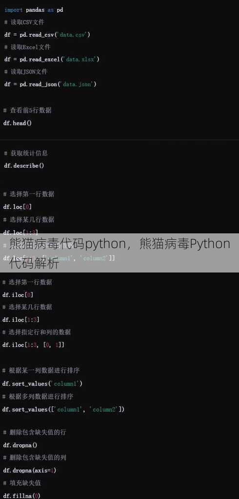 熊猫病毒代码python