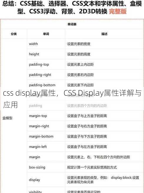 css display属性