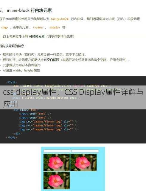 css display属性