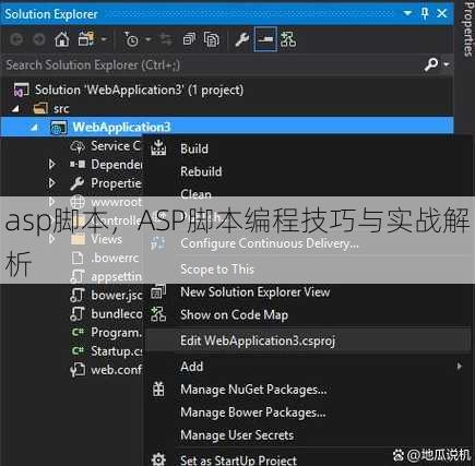asp脚本