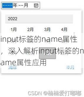 input标签的name属性