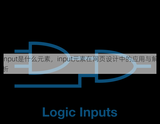 input是什么元素