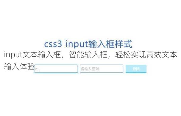 input文本输入框