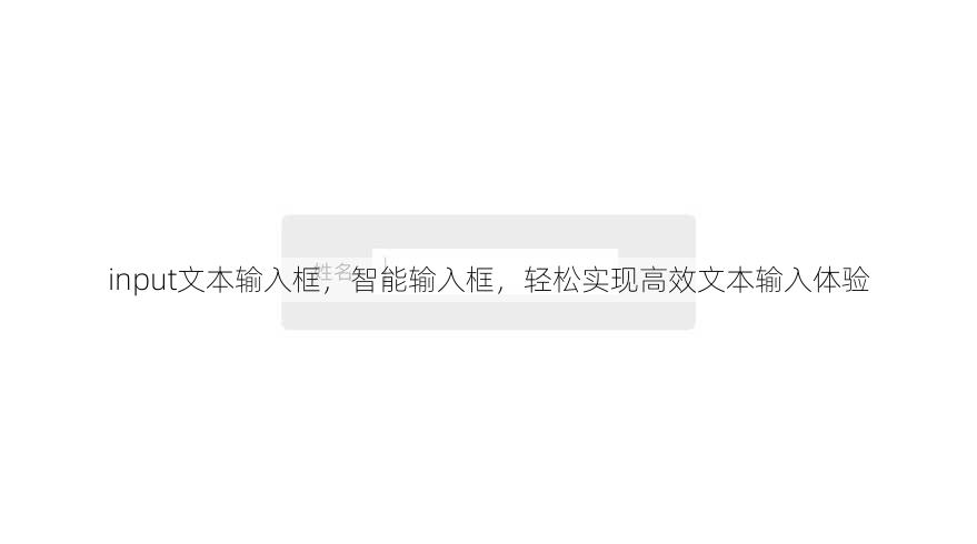 input文本输入框