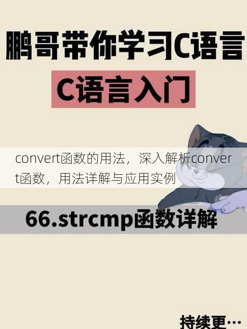 convert函数的用法