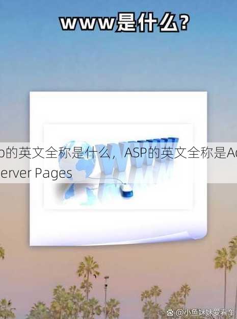 asp的英文全称是什么