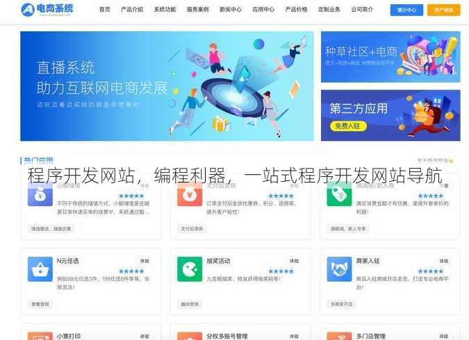 程序开发网站