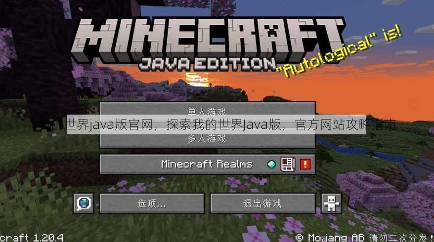 我的世界java版官网