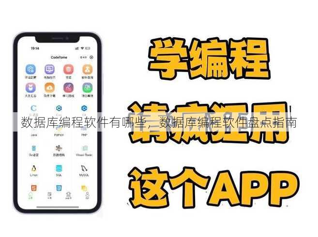 数据库编程软件有哪些