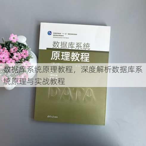 数据库系统原理教程