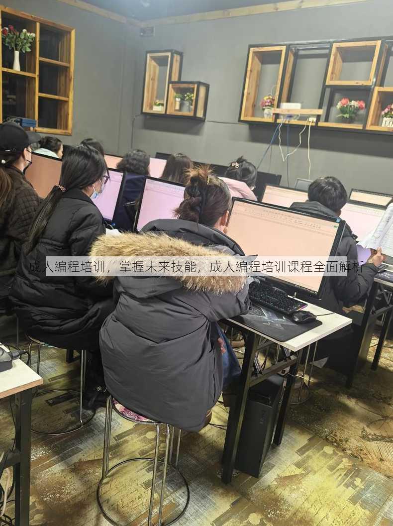 成人编程培训