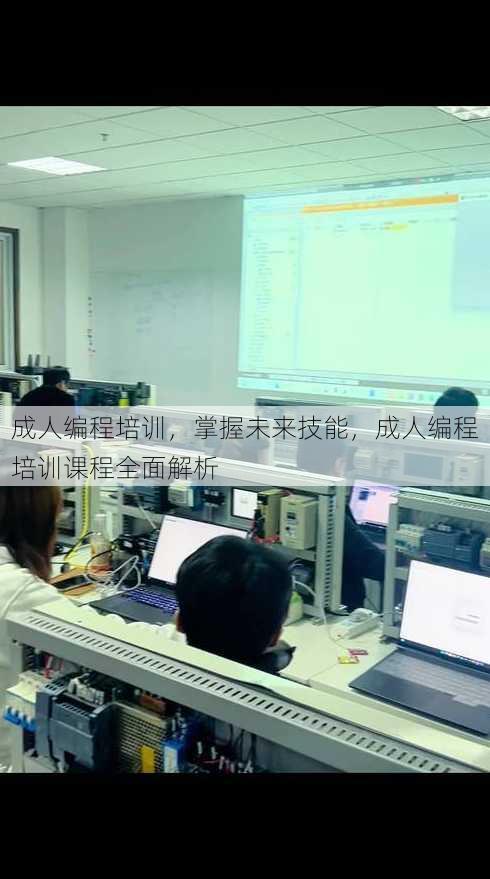 成人编程培训